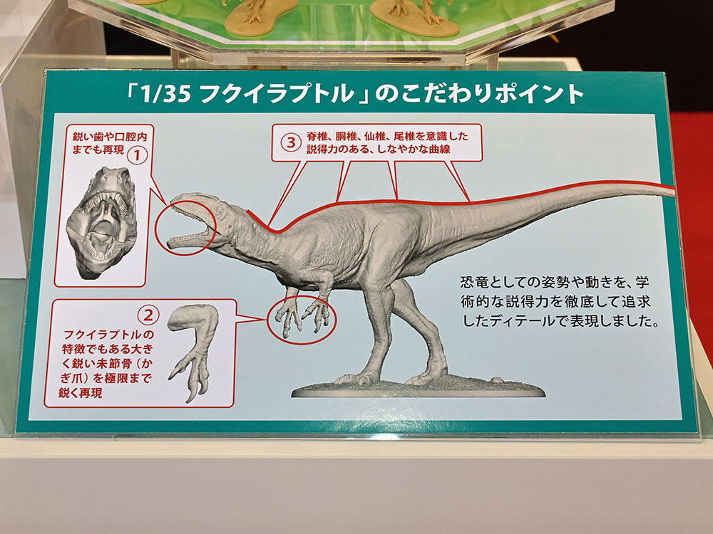 �摜