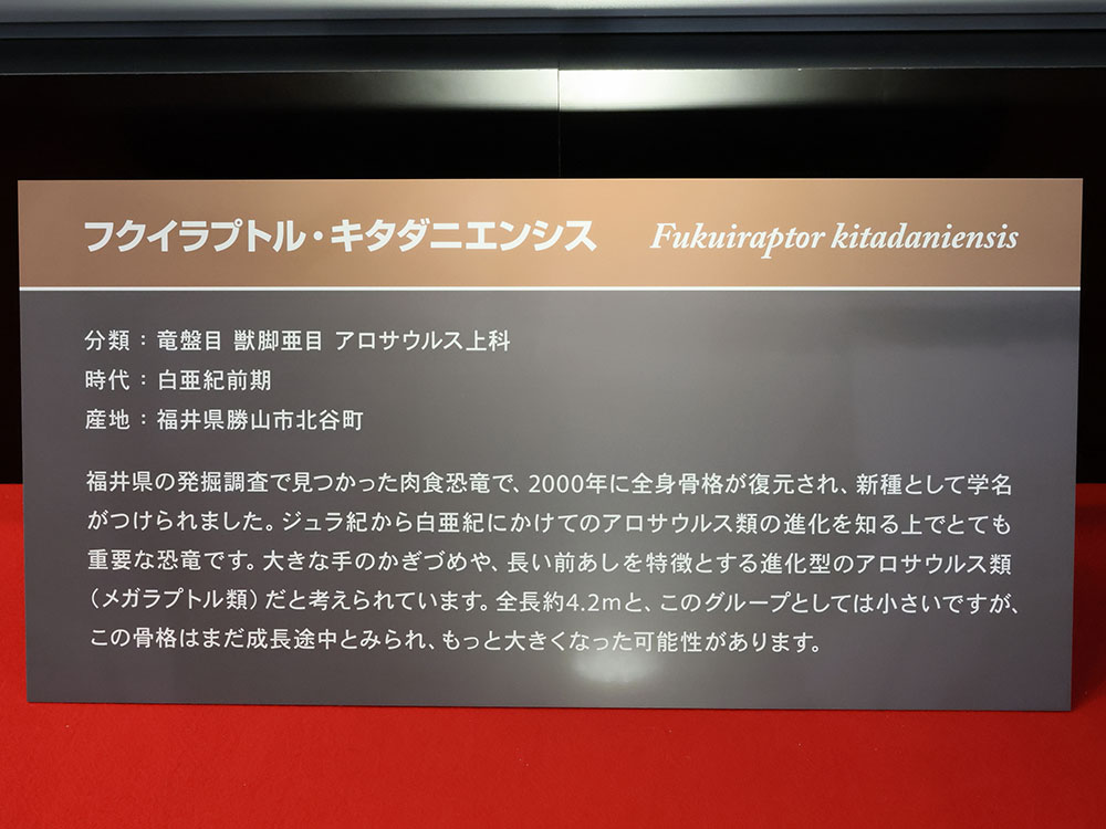 �摜