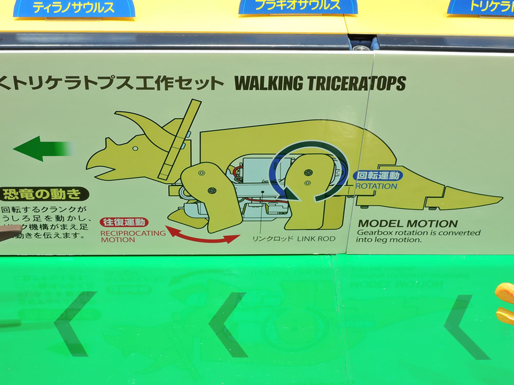 �摜