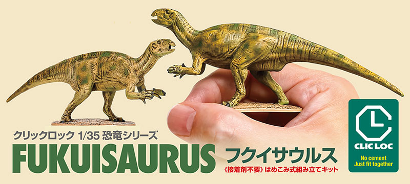 1/35 SCALE FUKUISAURUS